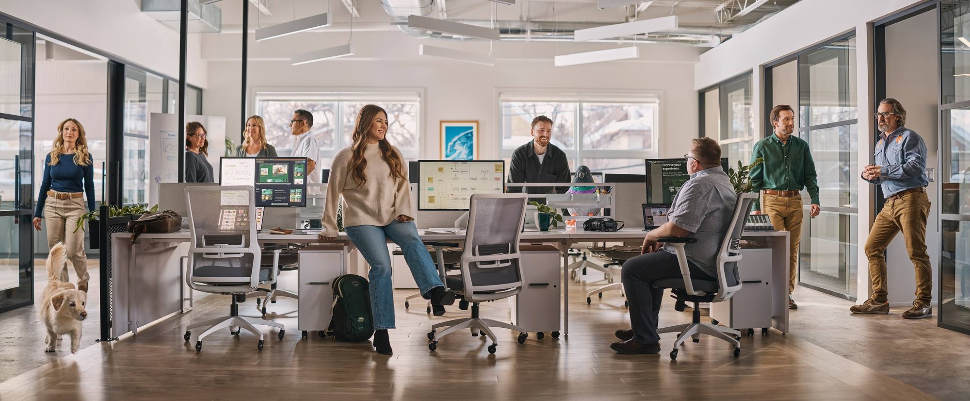 A team of people working and socializing in a bright, open-concept office space with large windows, computer workstations, and a dog near the entrance.