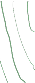 ServicesExperiencePatterMobile