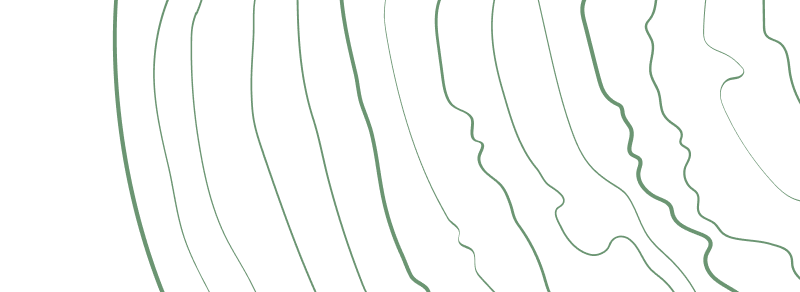 ServicesExperiencepattern