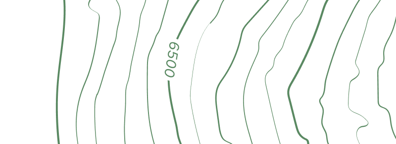 ServicesStrategyImage