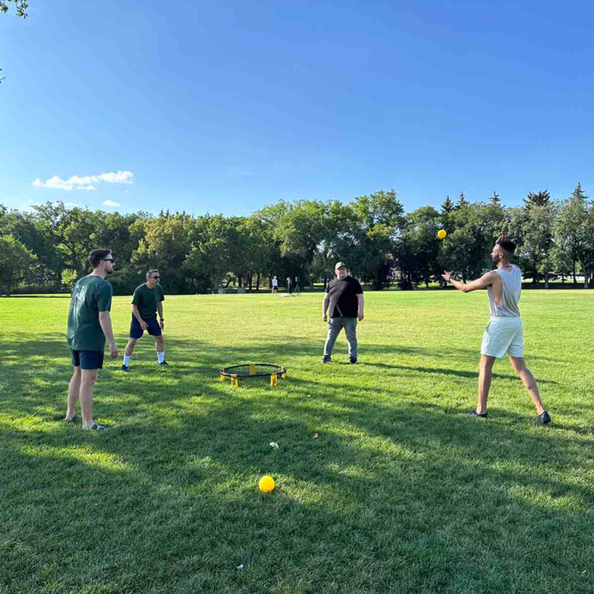 Four people playing spikeball on a sunny day in a grassy park with trees in the background.